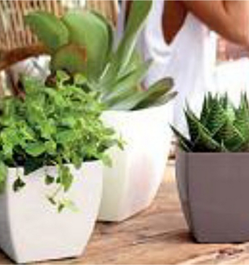 Image of SIENA self watering 36 cm
